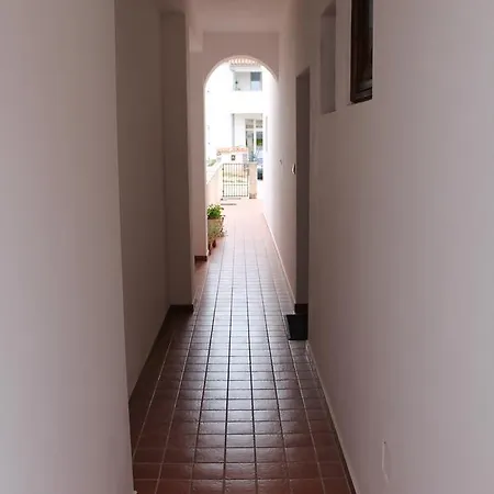 Ana * Póla